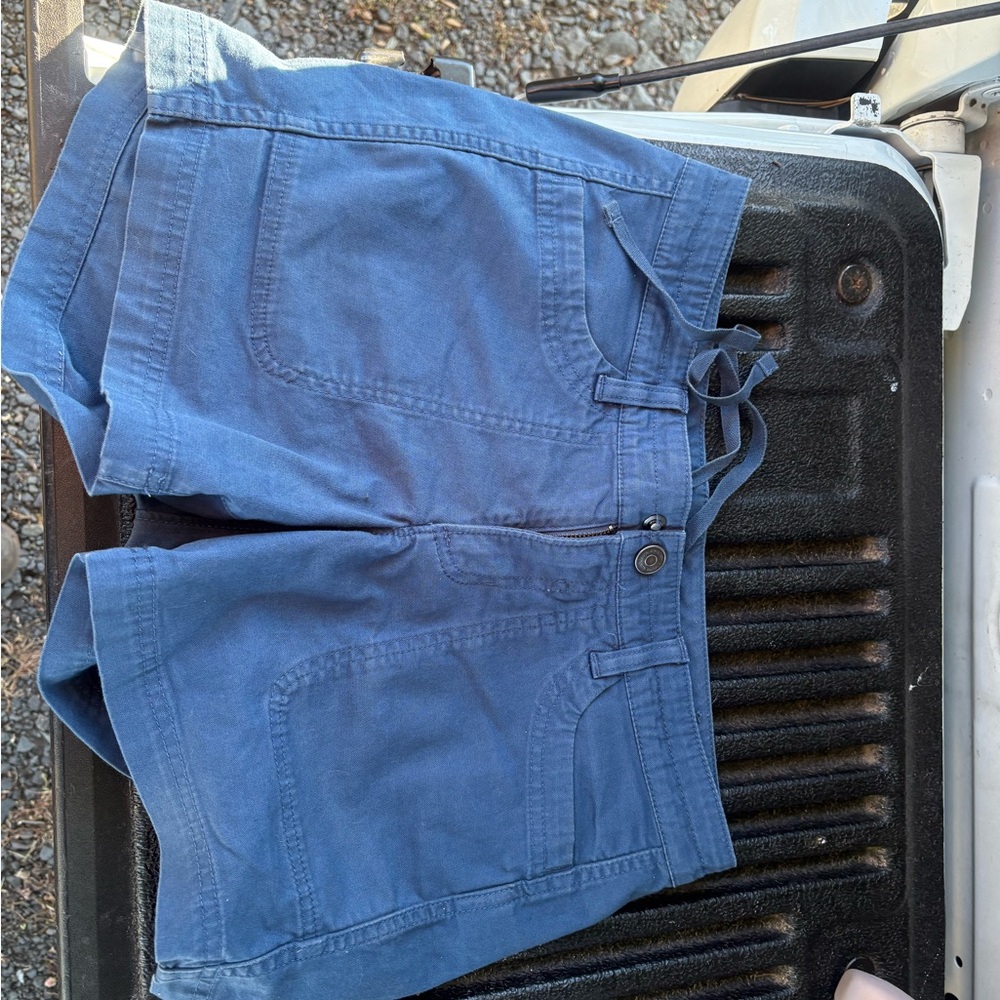 The North Face Navy Blue Shorts